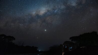 why stars explode