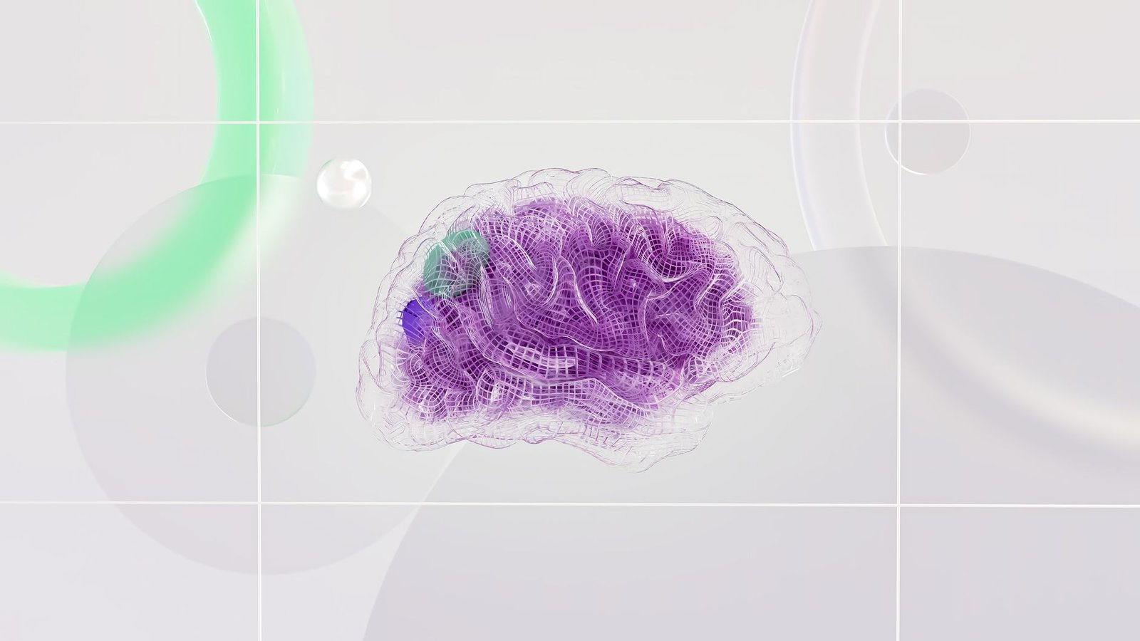 brain replays conversations