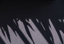 shadows had sounds