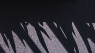 shadows had sounds