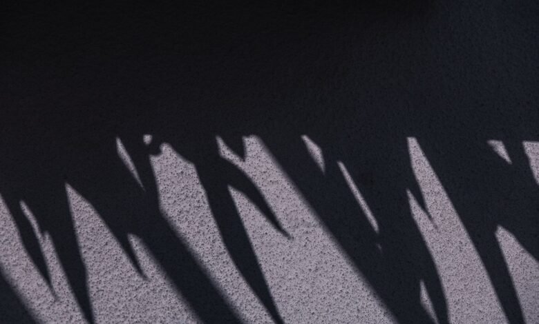 shadows had sounds