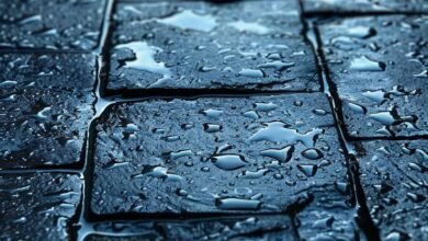 7 groundwater heavy rain Things That Happen Underground