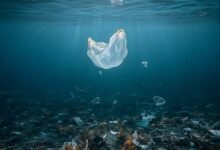 ocean plastic after 100 years
