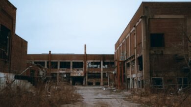 Abandoned factory overgrown with plants, a metaphor for abandoned websites