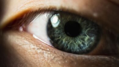 Close-up of a human eye, imagining a new human sense