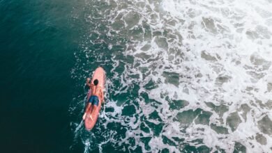 Surfer paddling on a board, the shape that explains why do sharks attack surfers