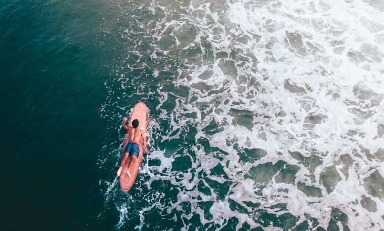 Surfer paddling on a board, the shape that explains why do sharks attack surfers
